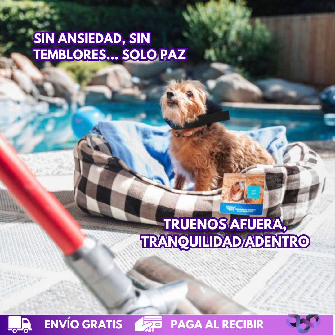 AntiRuidos Puppy 🐕🐾