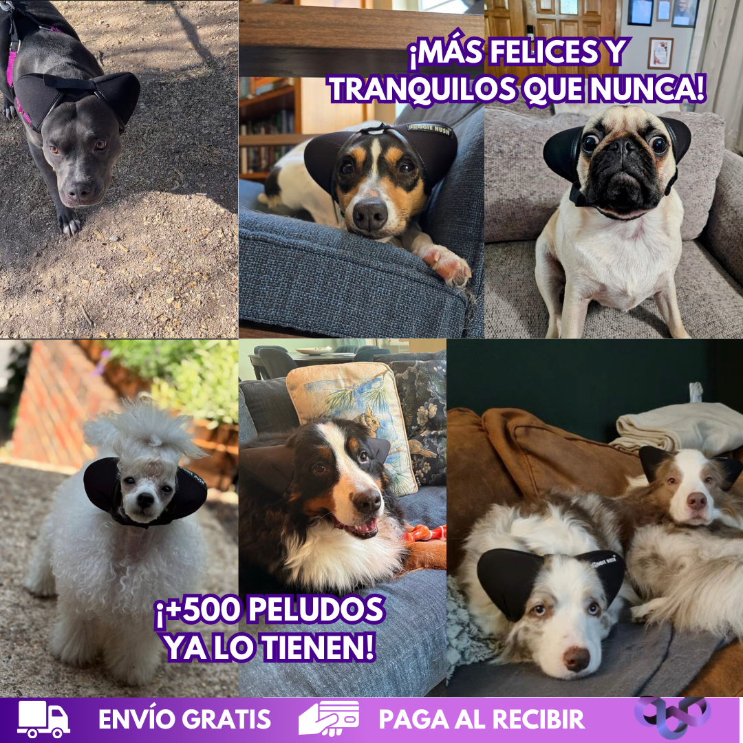 AntiRuidos Puppy 🐕🐾