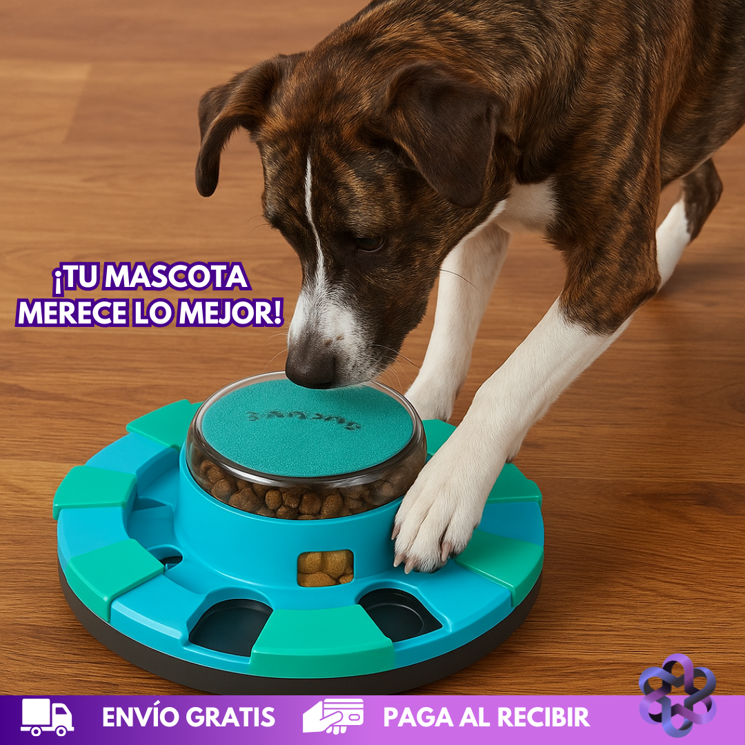 HappyPaws Bowl 🐶