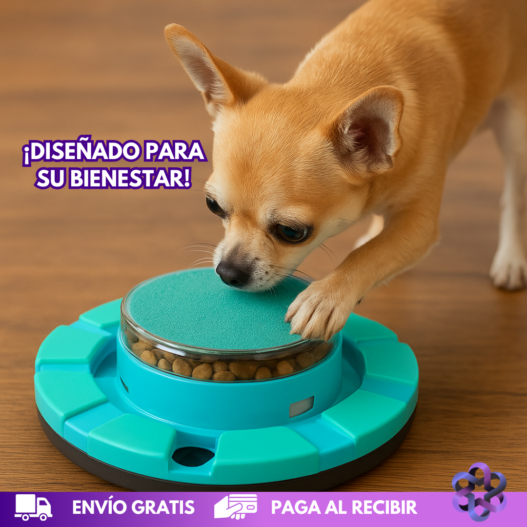 HappyPaws Bowl 🐶