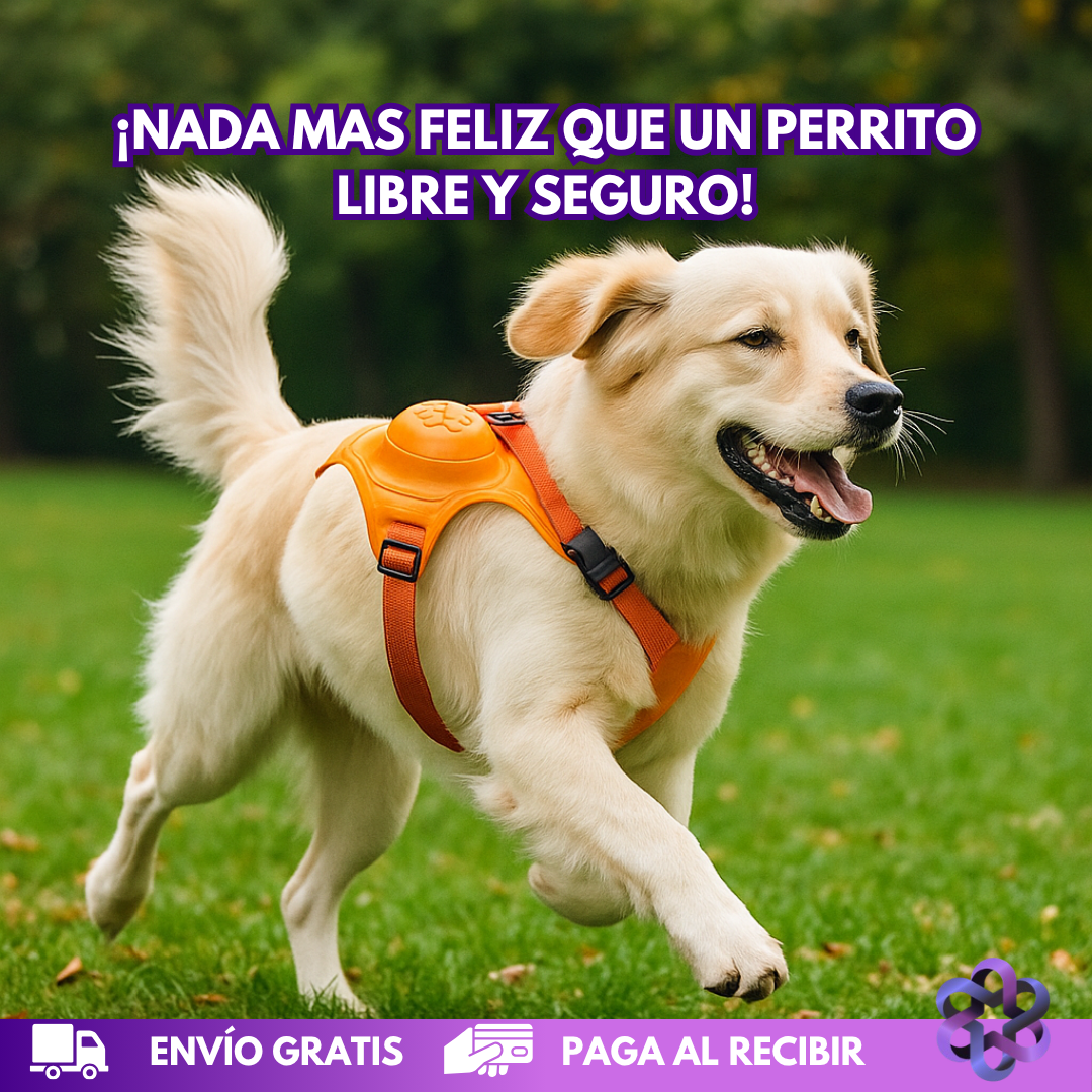 GoDog Harness🐾🐕‍🦺