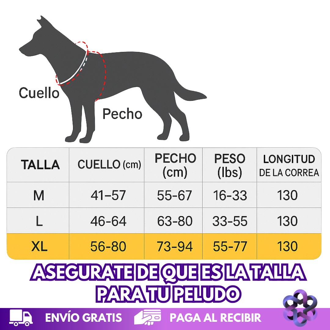 GoDog Harness🐾🐕‍🦺