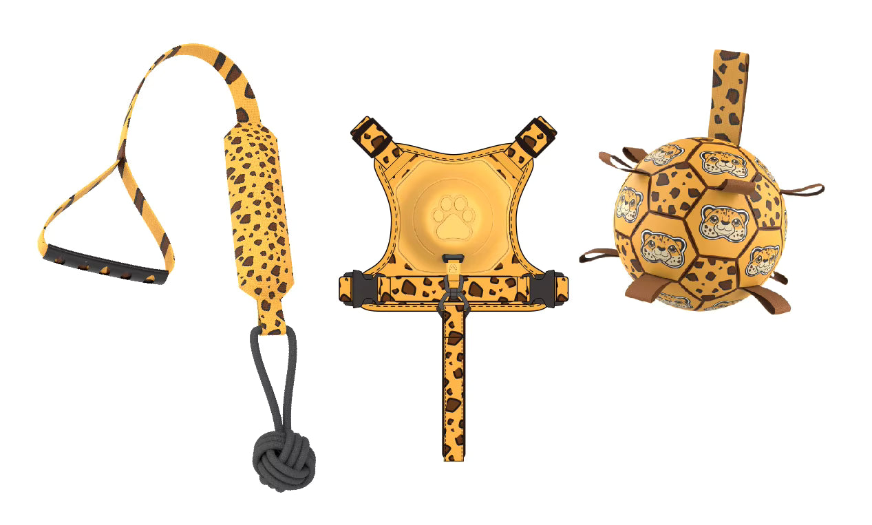 GoDog Harness🐾🐕‍🦺