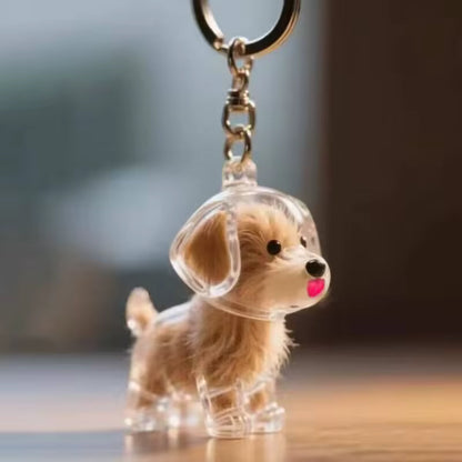 Huellas Eternas🐶🐾 Ordena 2 🎁 Recibe 4🎁
