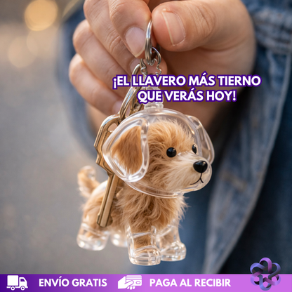 Huellas Eternas🐶🐾 Ordena 2 🎁 Recibe 4🎁