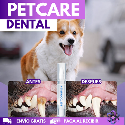 PetCare Dental🦷🪥🐩