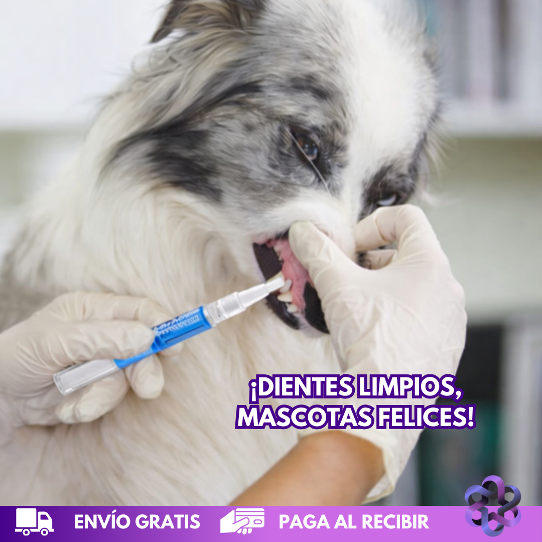 PetCare Dental🦷🪥🐩