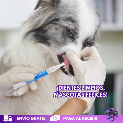 PetCare Dental🦷🪥🐩