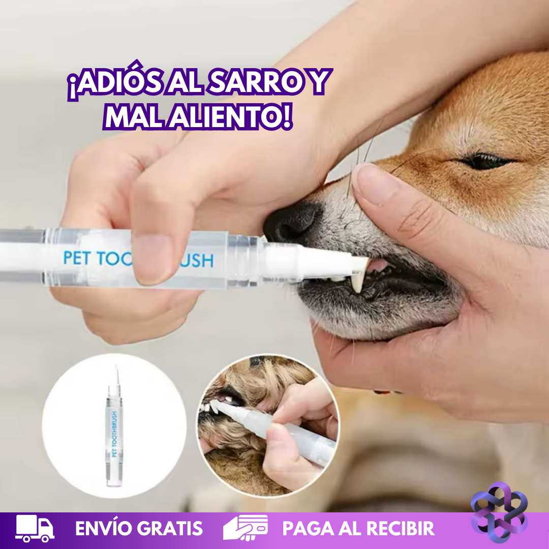 PetCare Dental🦷🪥🐩