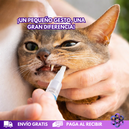 PetCare Dental🦷🪥🐩