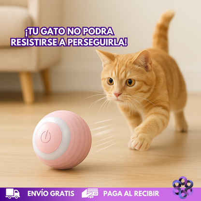 TurboPaw Ball 🏐🐈