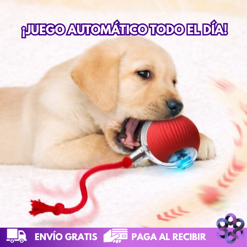 TurboPlay Mascotas🐶🐱