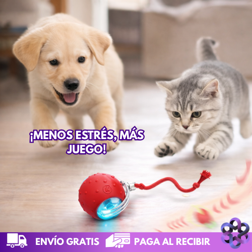 TurboPlay Mascotas🐶🐱