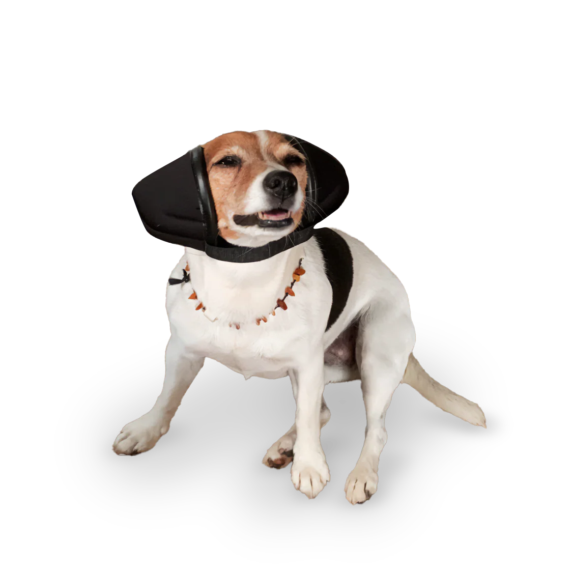 AntiRuidos Puppy 🐕🐾