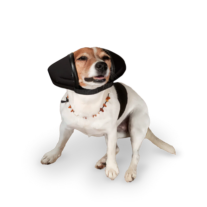 AntiRuidos Puppy 🐕🐾